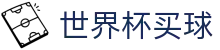 2026国际足联世界杯买球 · 互动服务平台及赛事覆盖